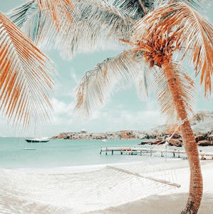 Meet your Posher, Portia wilson